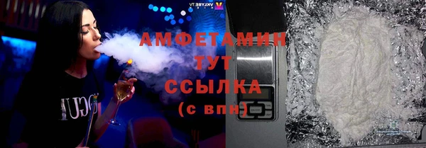индика Богородск