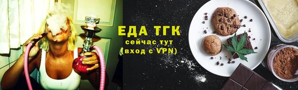 индика Богородск