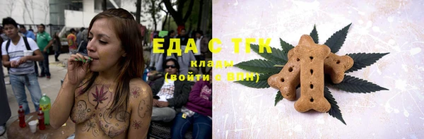 индика Богородск