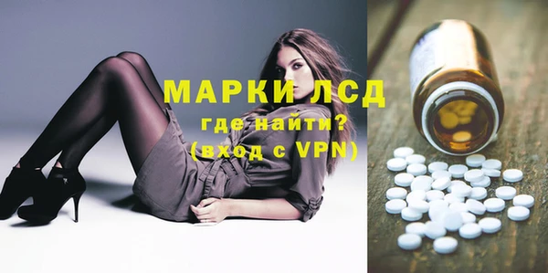индика Богородск