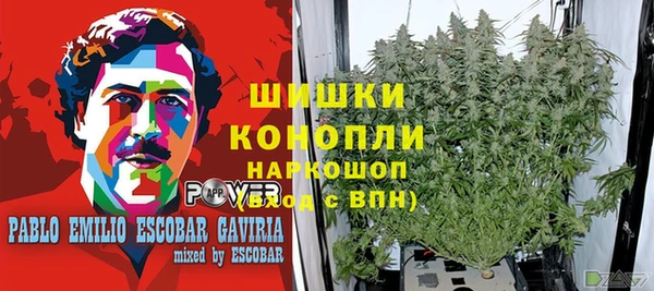 индика Богородск