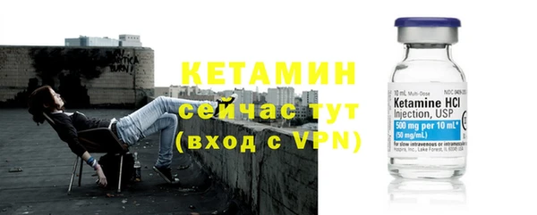 индика Богородск