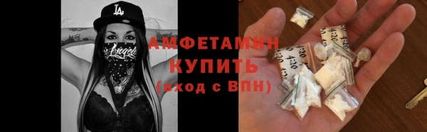 индика Богородск