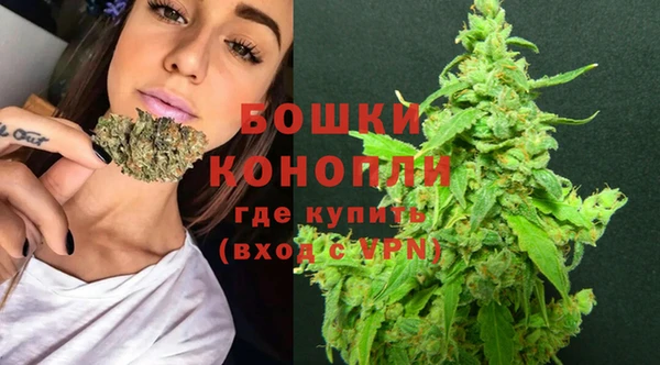 индика Богородск