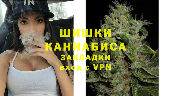 индика Богородск