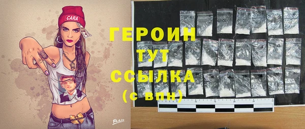 индика Богородск