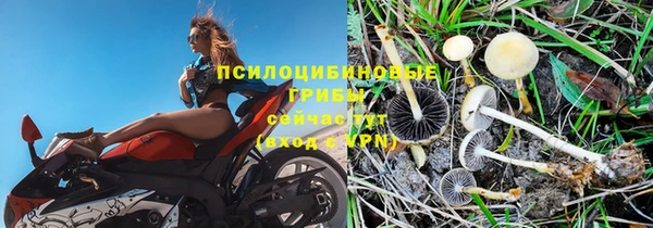 индика Богородск
