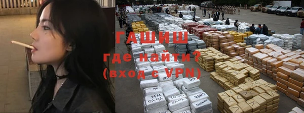 индика Богородск