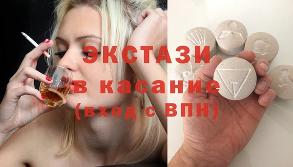 индика Богородск
