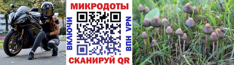 Псилоцибиновые грибы прущие грибы  hydra ССЫЛКА  Новороссийск  что такое  